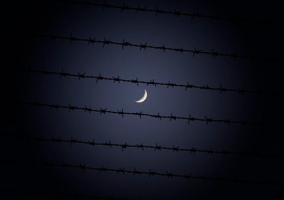 Barbed Wire Moon